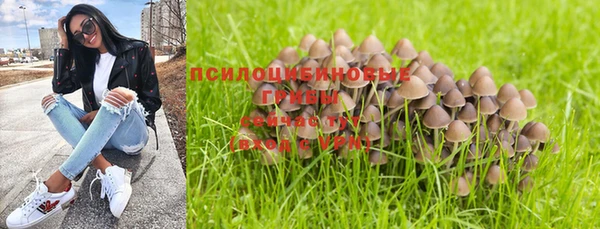 молекула духа Вязники