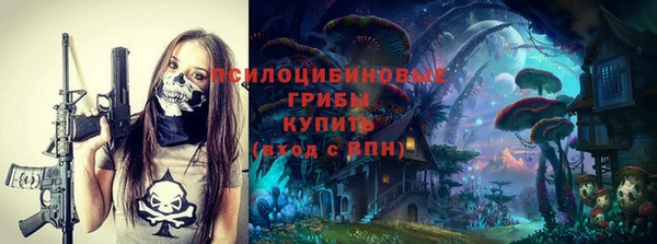 молекула духа Вязники