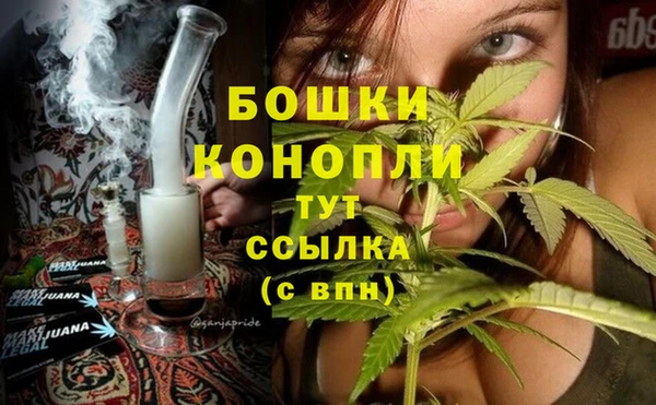 молекула духа Вязники